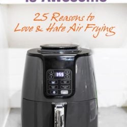 25 Reasons to Love-Hate Air Frying with your Air Fryer | AirFryerWorld.com