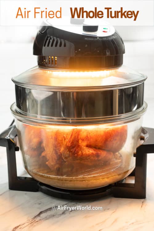 Halogen Infrared Cooker for Thanksgiving 