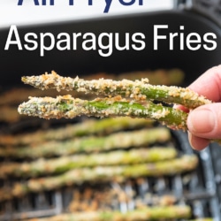 holding air fryer breaded asparagus fries
