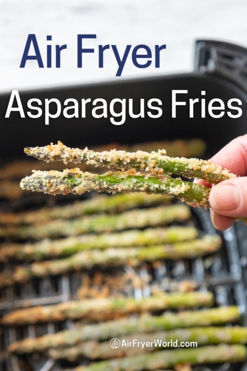 holding air fryer breaded asparagus fries 