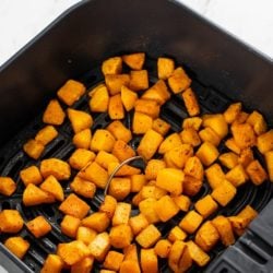 Air Fryer Butternut Squash AirFryerWorld.com