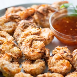 Air Fryer Coconut Shrimp on plate with dip