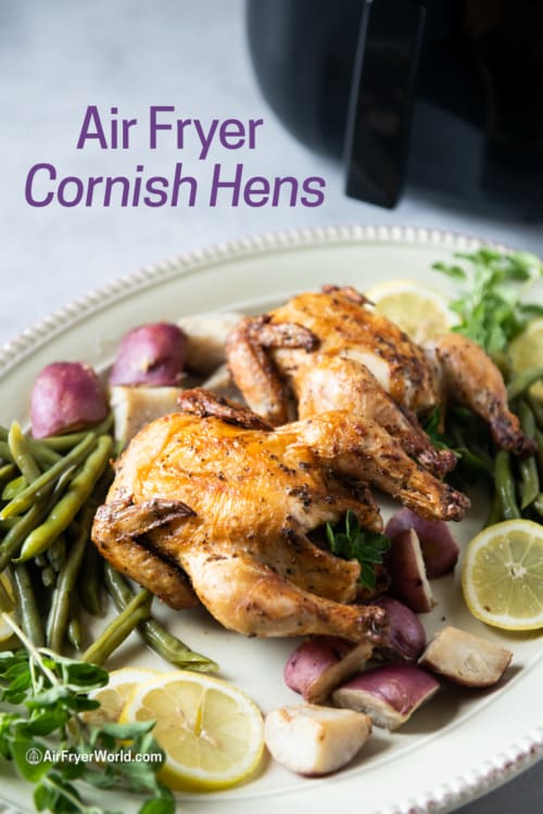 Plated air fryer Cornish game hens 