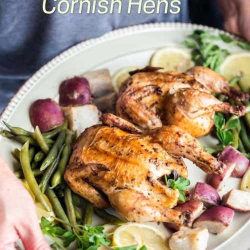 Air Fryer Cornish Hens Recipe in 30 Min EASY! | Air Fryer World