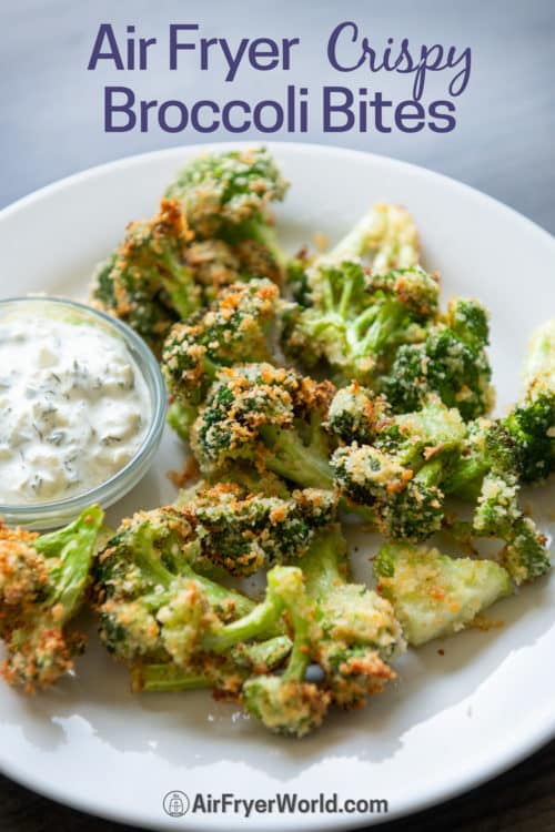 Air Fryer Broccoli Bites Recipe on a plate