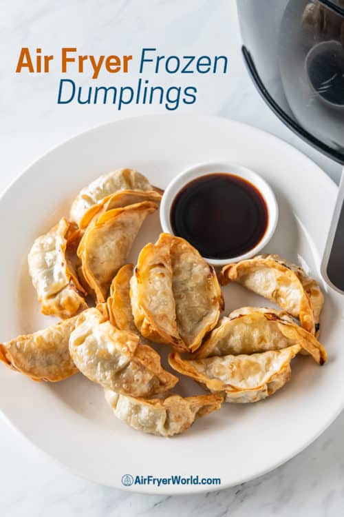 AIR FRYER Frozen Dumplings Potstickers Gyoza How To Cook