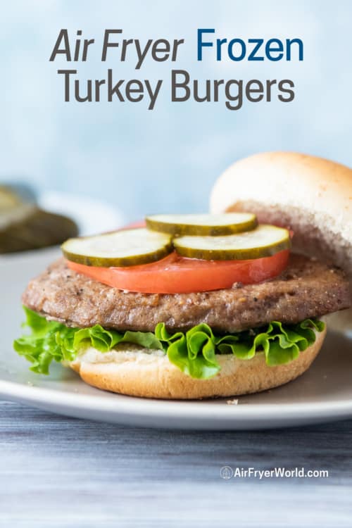 Air Fryer frozen turkey burgers 