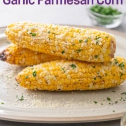 air fryer garlic parmesan on plate