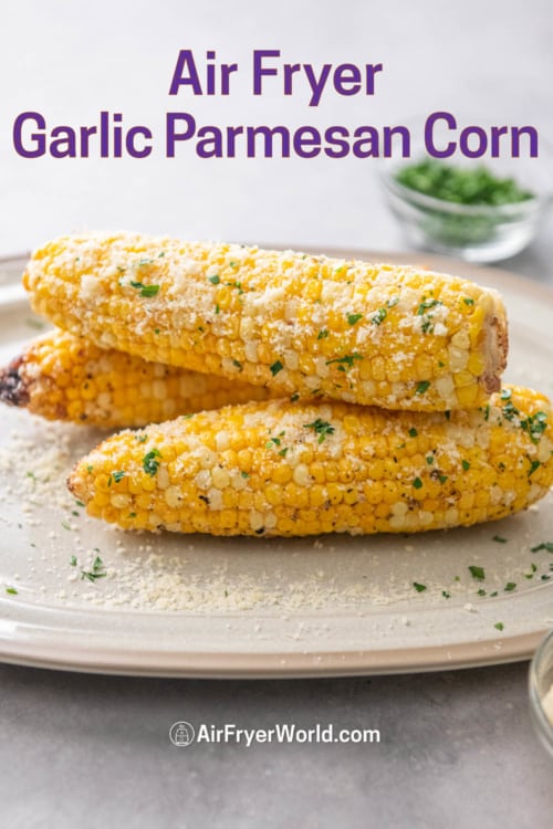 air fryer garlic parmesan on plate 