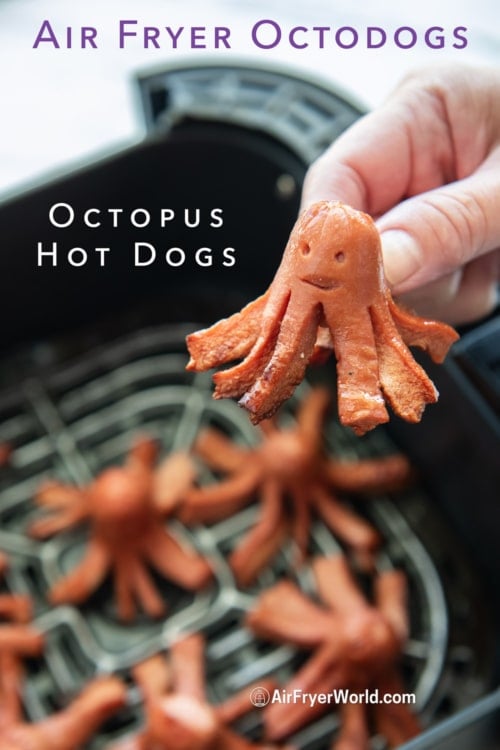 holding an air fryer octodog octopus hot dog