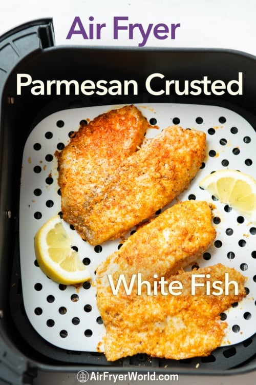 air fryer parmesan white fish in basket on liner 