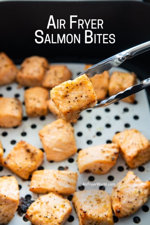 holding an air fryer salmon bite