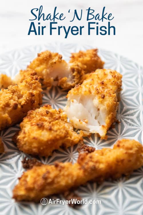 Air Fryer Shake and Bake Fish Fillets Recipe on a plate