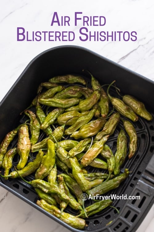 air fryer shishito peppers in air fryer basket