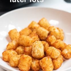 Air fried frozen tater tots in the air fryer | AirFryerWorld.com