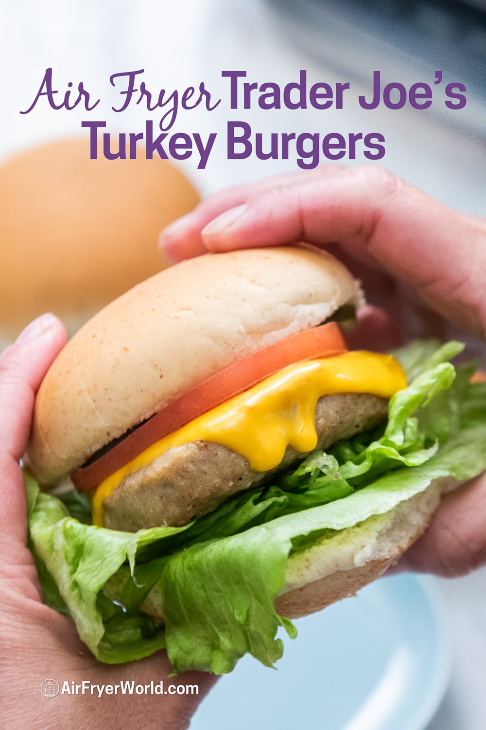 Air Fryer Turkey Burgers - Garnished Plate