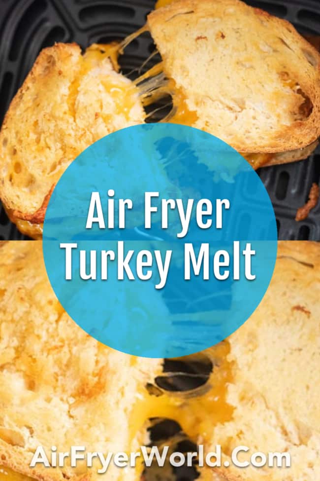 Air Fryer Turkey Melt from AirFryerWorld.com