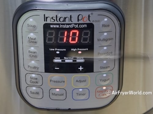 Instant Pot panel