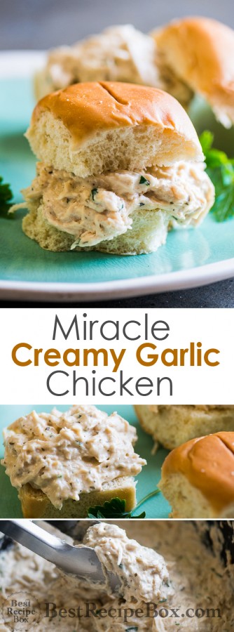 Miracle Creamy Garlic Chicken in Slow Cooker is AMAZING | @bestrecipebox