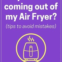 Why is Air Fryer Smoking and Releasing smoke? | AirFryerWorld.com