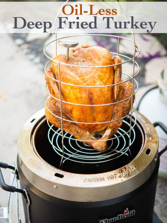 Air Fryer Oil-less Fried Turkey