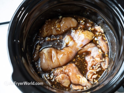 chicken in sauce