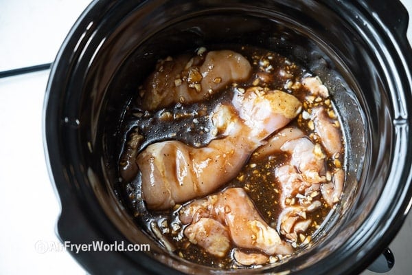 chicken in sauce